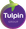 Tulpin Group
