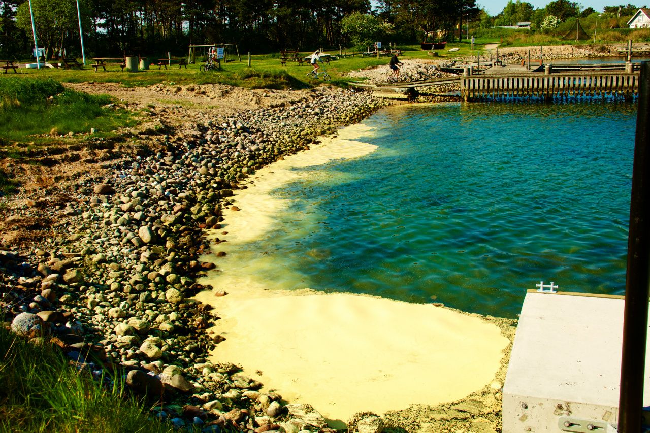 Fyr og Rapspollen 12/5/18.