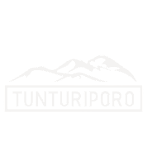 Tunturiporo