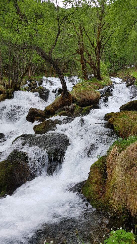 Oppstigning langs elva fra Regndalen