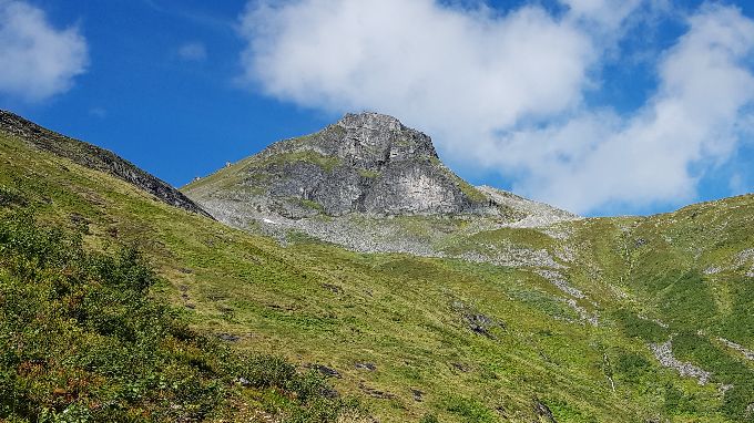 Blåfjellnibba stikker opp og over tregrensa må en skrå oppover til baksiden (nordsiden av Blåfjellnibba). Litt tungt å gå, men lav vegetasjon.