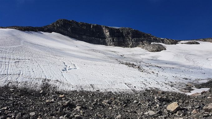 Vakkert på nordsida av Blåfjellnibba. Oppgangen langs egga ligger utenfor høyre billedkant
