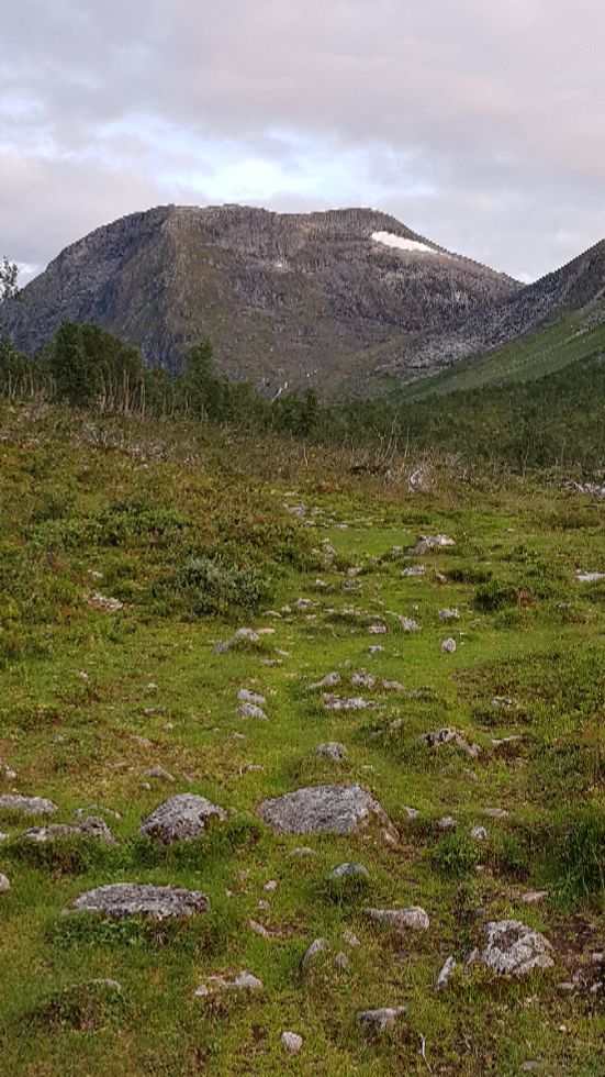 Vasshornet (og Tverrfjellet ) sett fra Instesætra. Nordøstsiden.