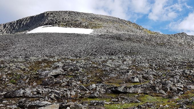Veien opp mot Vasshornet.En del mose og annen vegetasjon, men mest ur. Siste delen opp til topp, ganske bratt ur.