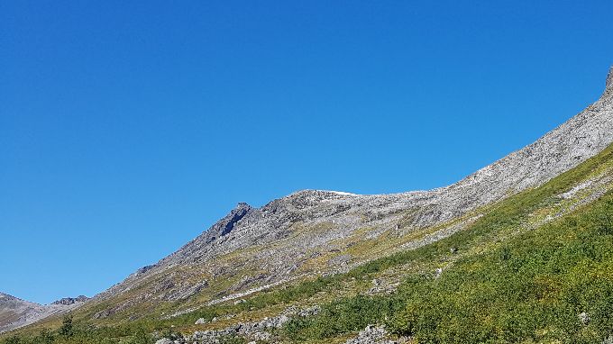 Her lia en skråer opp og når skaret omtrent midt på bildet. Litt dyrtråkk fantes og ellers var det lav vegetasjon