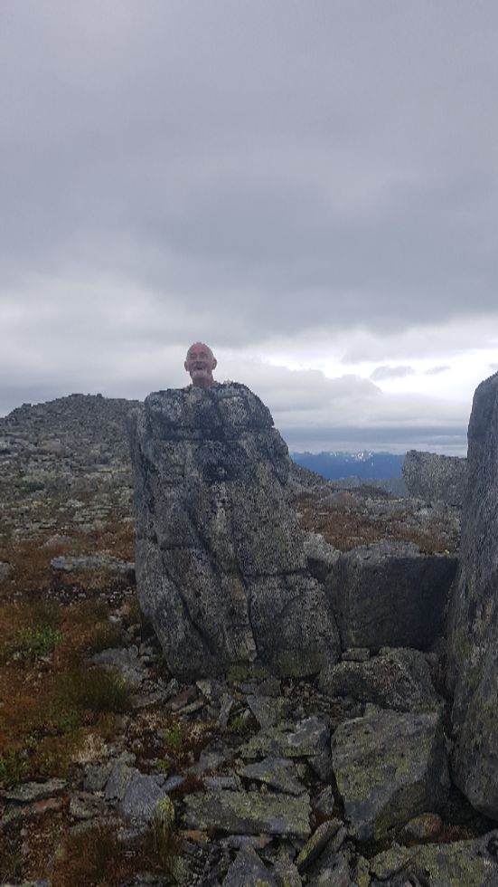 Forsteinet på Svartdalstindane