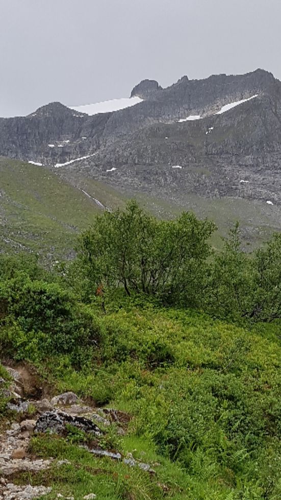 Gullmorhornet (som en kuppel) sett fra Vellesetra. Været var ikke det beste denne dagen