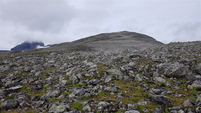 Veien opp Sikholsfjellet