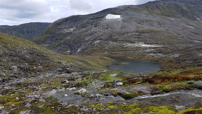 I Svartdalen mot Svartdalskjeften. Kan være glatt i det mosebelagte terrenget