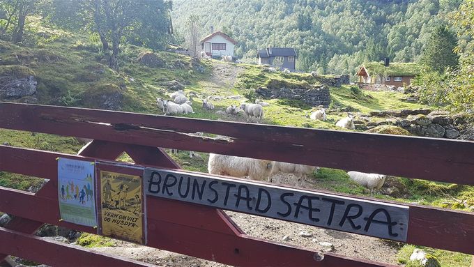 Brunstadsætra. Skiltet med Brunstadkollen på og som viser veien inn på en sti helt til Storevatnet. Kan sees litt til venstre for den hvite hytta.
