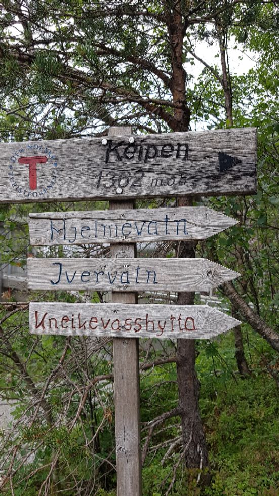 Merking av stien
