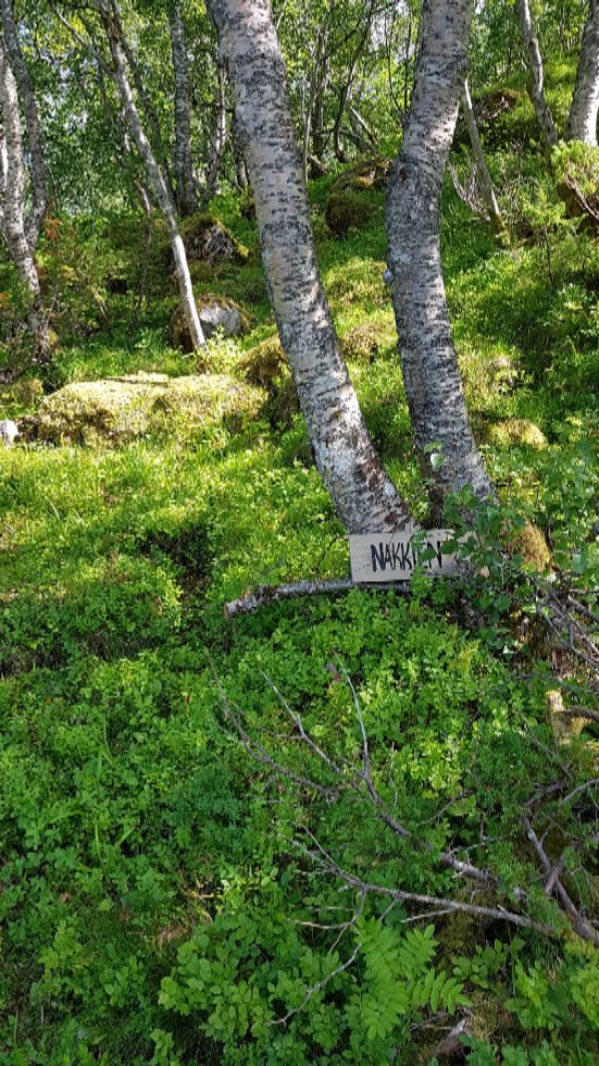 Grei tur å gå til Nakkjen