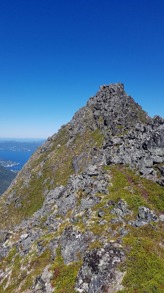 Her akn en se stien en kom fra og som er veien tilbake til Gimsdalstinden på vestre side av fjellet fra skaret mellom Gimsdalstind og Hammarsettinden