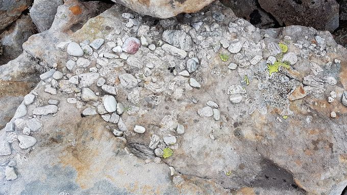 Parakonglomerater kalles dette da matriksen (fyllmassen) utgjør minst 15% av konglomeraten. Dette konglomeratet er funnet  i Nordfjord hvor det er områder som er svært rikt på dette.
