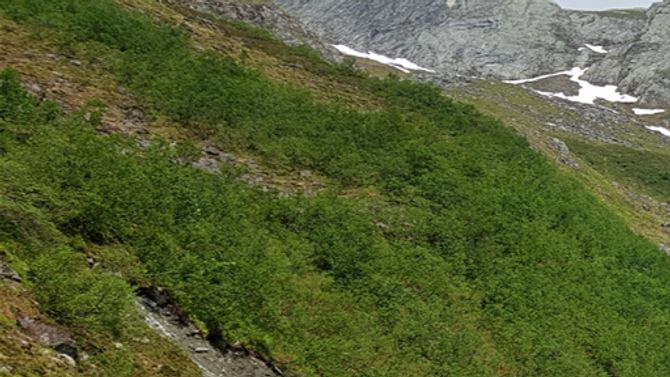 Grøtdalstidane ved Sæbø hvor en kan ned i dalen se steinmassene som er årsak til navnet.  Ikke mer enn 3-4 km i luftlinje unna ligger Grøthornet. Svært vanlig navn med gjerne flere i hver kommune