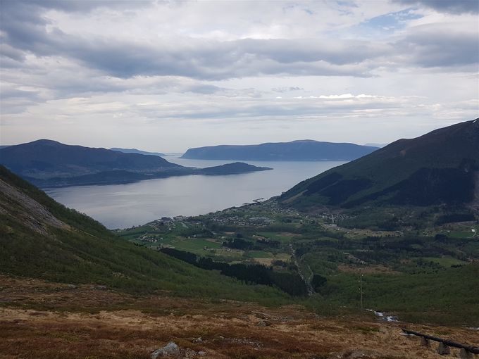 Stien opp i Risaskaret går langs rørgata en kan se litt av i høyre billedkant. Vartdal  med Hjørugavåg i bakgrunnen på andre siden av fjorden