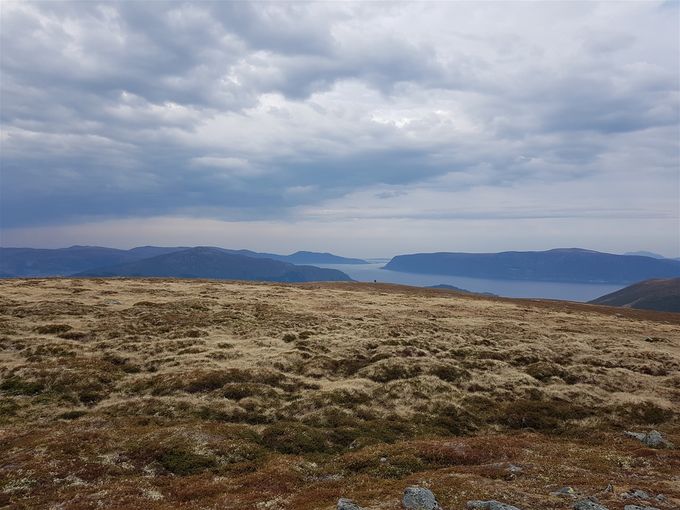 Toppen på Breidfjellet. Utsikt mot nordvest med Sula til høyre og Hareidlandet til venstre