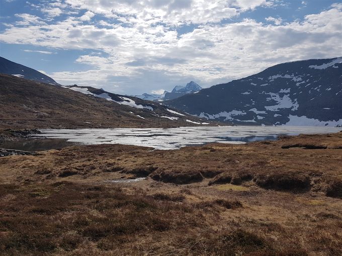 Det finnes en sti (dyretråkk?)som går inn langs Store Risaskarvatnet frem mot Hestefjellet