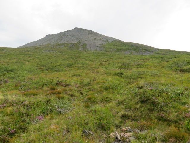 Kvitnykja i Ørskog