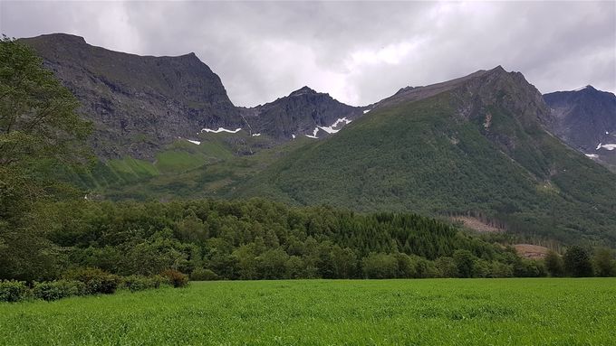 Nonshornet  eller Drivdalstinden  med Drivdalen under sett fra Velledalen i Sykkylven