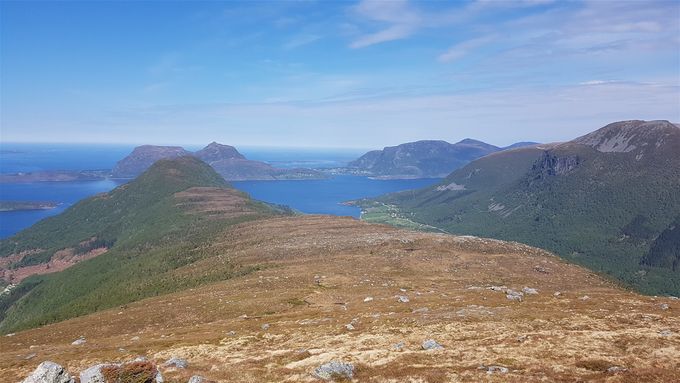 Veien ned mot skaret til Hellenakken. Det viktig å holde seg oppe på ryggen for å unngå for mye vegetasjon. Ned til høyre ligger Vestrefjorden