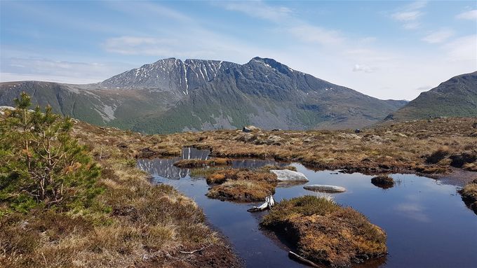 Skaret med myrvann med tyri. I bakgrunnen sees Blåskjerdingen. Helt til høyre ser en ryggen på Øtrefjellet
