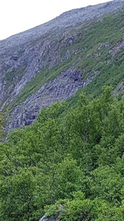 Skilting i Åndalen