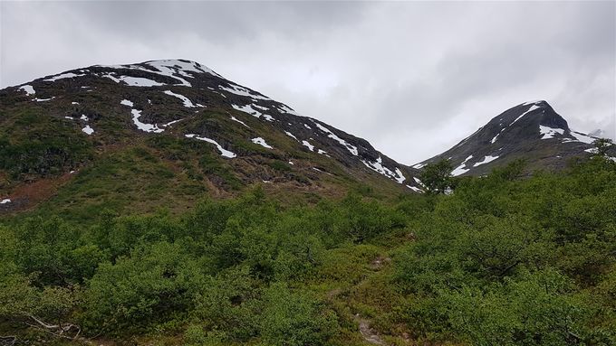 Forsida av Bolten ned mot Åndalen som var stedet å gå opp og ned. Men ikke helt enkelt. Ingen sti.