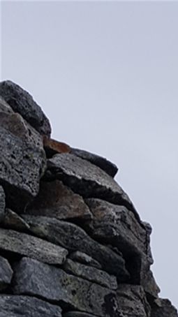 Utsikt mot øst og egga på Frostadtind (høyeste punkt ligger der) hvor turen gikk videre