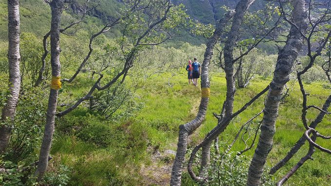 Etter Løsetsetra er det sti som først går innover dalen, så oppetter fjellsiden. Stien er tydelig og enkelte steder merket
