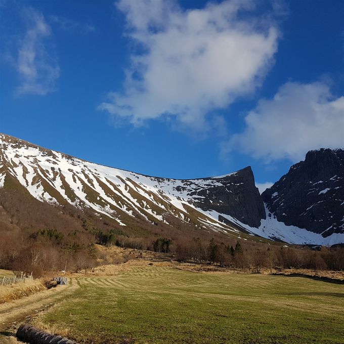Morenerygger på fjellsiden av Klovetind. Snøen gjør dette spesielle landskapet av morenerygger mer tydelig