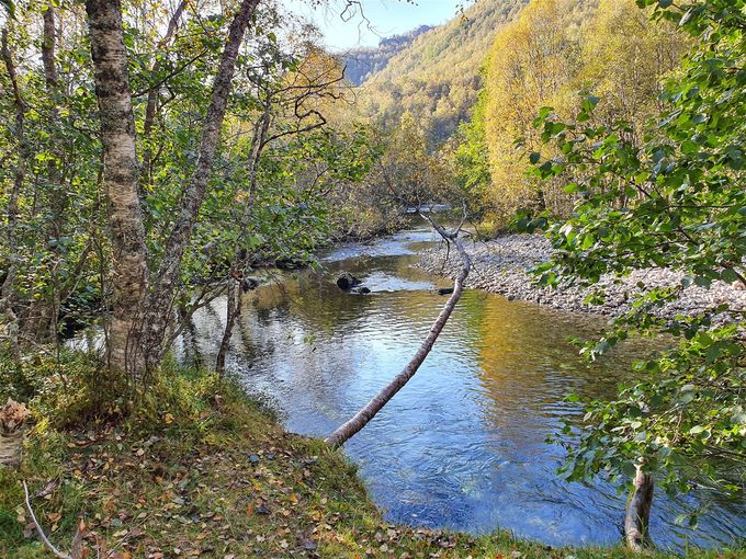 Idylliske Skorgeelva