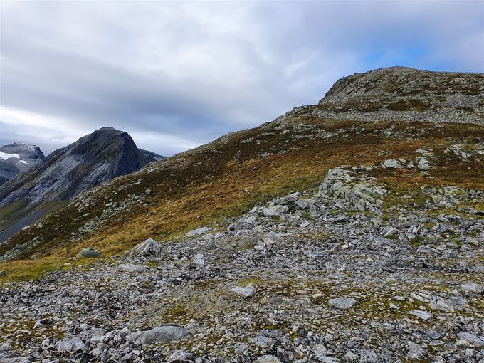 Ryggen opp mot Vatnedalsegga. Her er en sti (dyretråkk) Til venstre sees Tverrfjellet