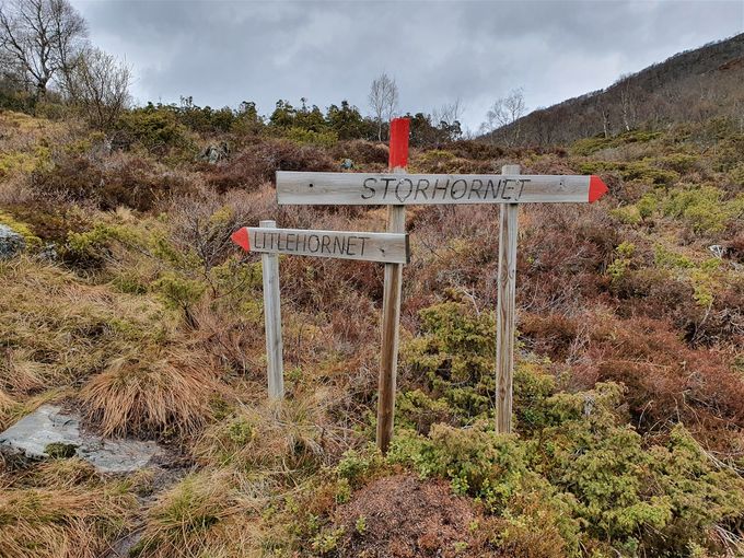 God skliting i skaret mellom Litlehornet og Storhornet. Lett å finne sti mot Storhornet