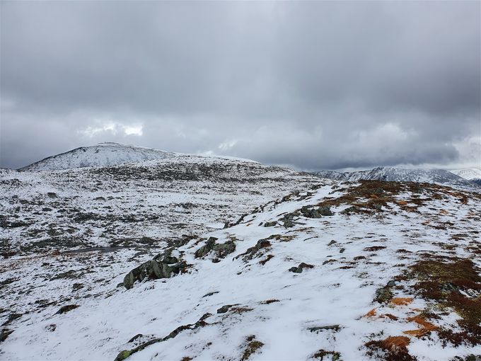 Utsikt mot nordøst mot Skålbotsheia 611 m.o.h midt på bildet. Såkalt primærfaktor er vel ca 35 meter. Det er Tverrbotshornet som frager opp til venstre. Det ser nærmere ut enn det er. Det er bratt ned fra baksiden av Skålbotsheia