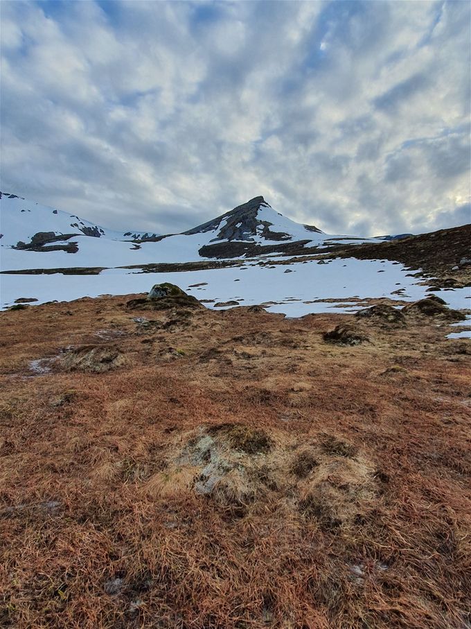 Sikt deg inn mot den lave ryggen av Grøthornet til venstre. Der er et mindre høydedrag  som en kan gå langs for å unngå for mye myr. Bildene er fra 08.06.20 og det var fortsatt mye snø.