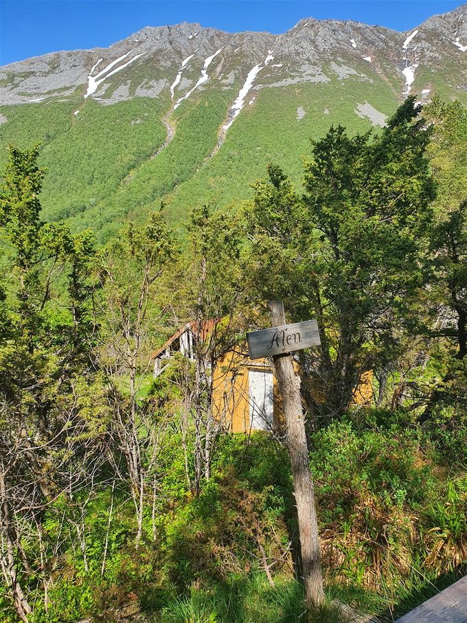 Ålen. I bakgrunnen Skopphornet. På andre siden av traktorveien starter du på turen gjennom skog mot fjellet