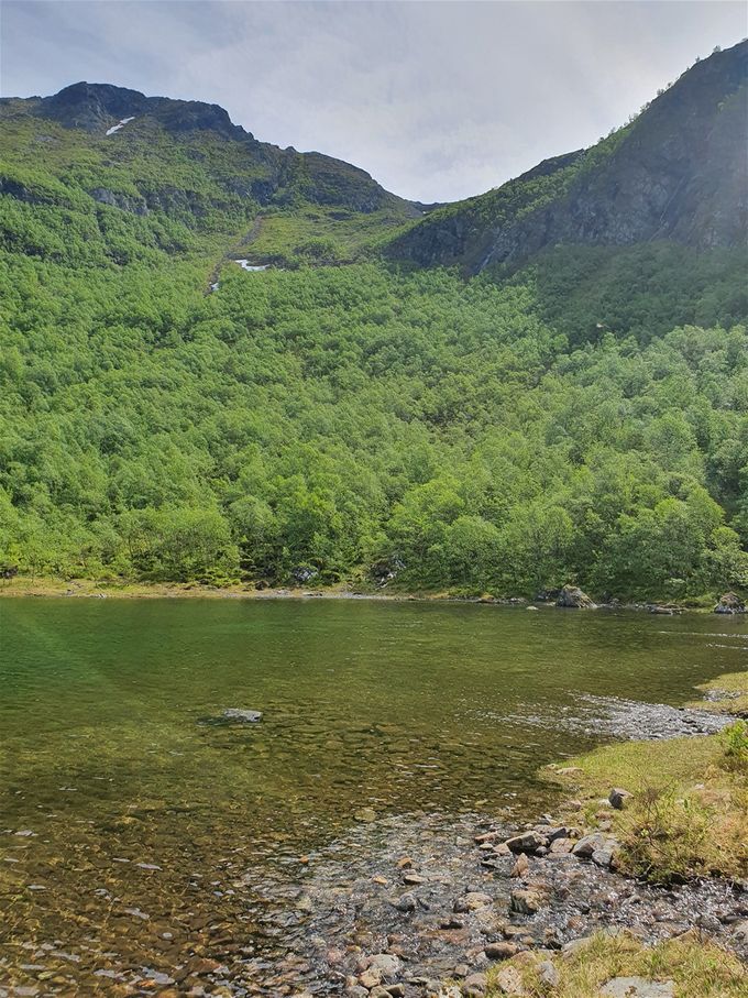Hældalsvatnet. Skogsturen opp mot Snipa til venstre. Sikt mot skaret , men tilvenstre for fjellhamrene.