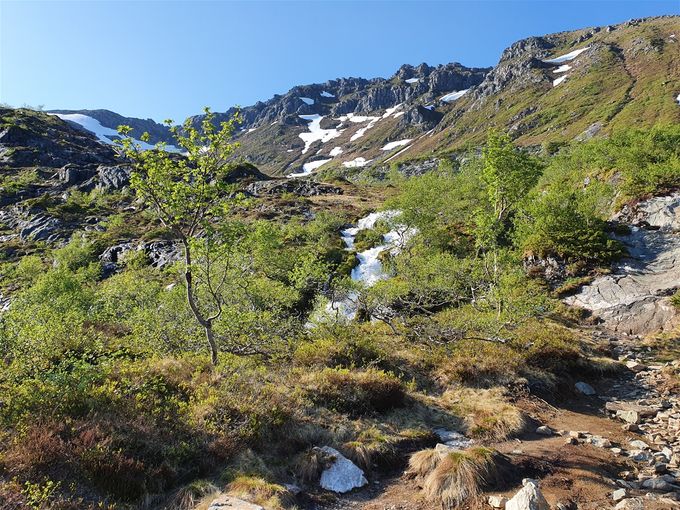 Veien ned Trolldalen. Vannføringen i grottene (Trollkyrkja)pga vårløsning var så stor det ikke var trygt å gå inn.