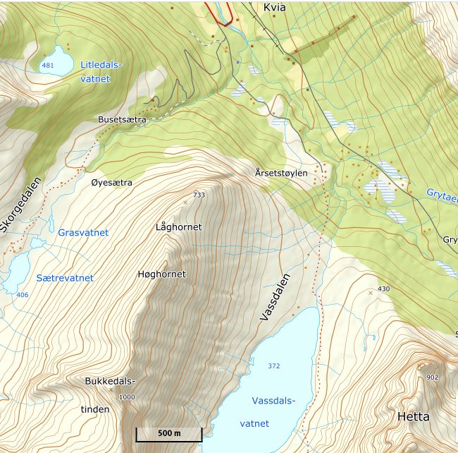 Hentet fra Kartverket. Her er stien opp til Vassdalsvatnet markert og viser hvor skoggrensa går