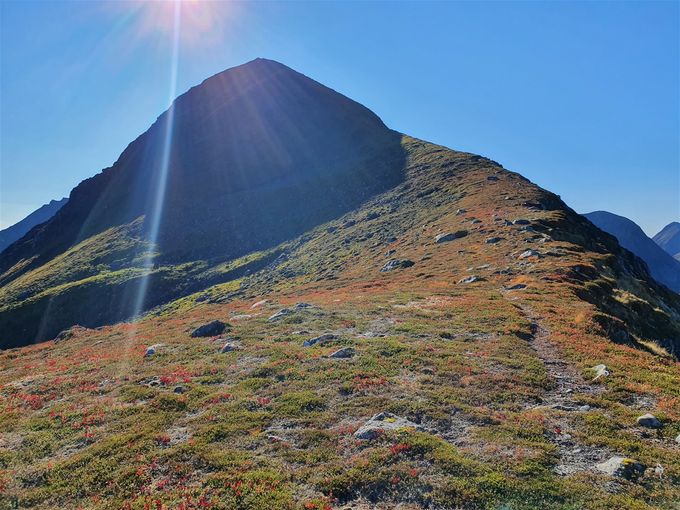 På Låghornet og her kan en se en sti som går videre mot Høghornet. Det ser bratt ut mot slutten. Det er ikke så ille som det ser ut.