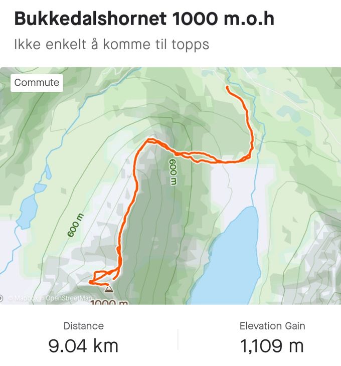 Strava profil. Den viser jeg forsøkte å gå direkte mot toppen, men det er ikke mulig. Ruten fra skaret mellom Høghornet og Bukkedalstinden og frem til ryggen opp til Bukkedalstinden har vært forskjellig, men det er beskrevet