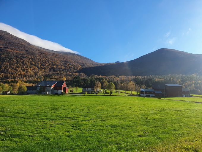 Her er starten. Tronstadsætra ligger ned i skaret. Tronstadnakken til høyre. Mellom disse 2 gårdsbruk starter sti til Tronstadsætra