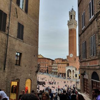 siena piazza