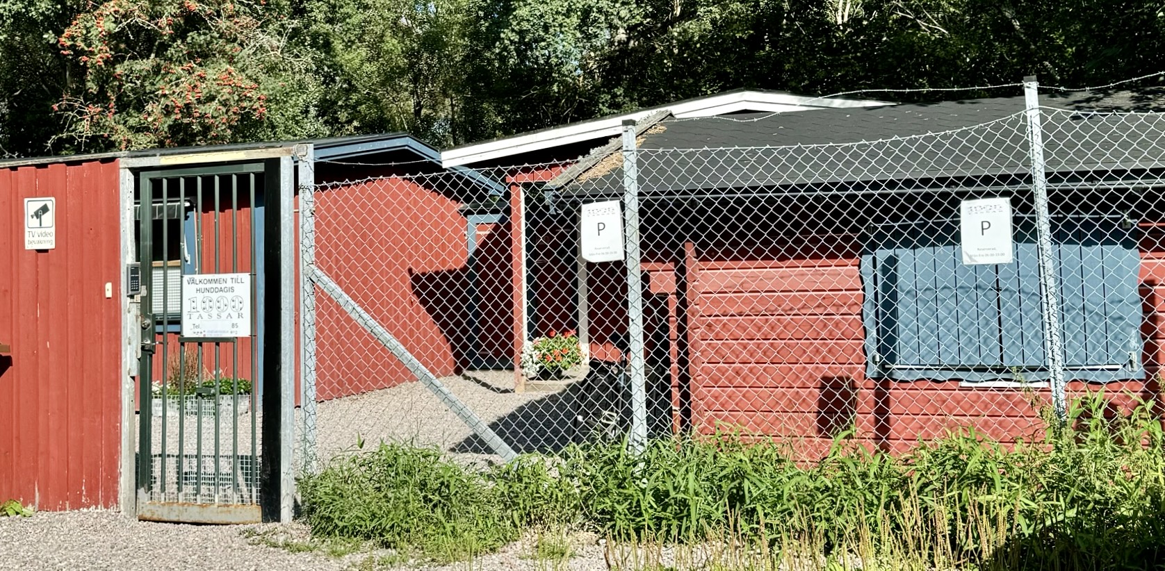 Hunddagis Tusen Tassar galleri bild 3