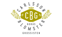 carlssonsblomsterg