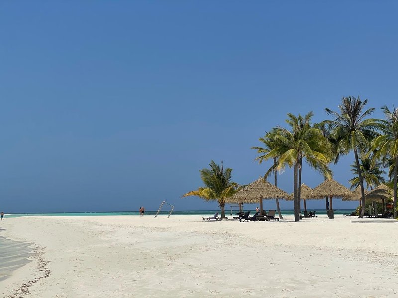 2022-04-05 18.42.53-1 2022-04-05 18.42.53-1