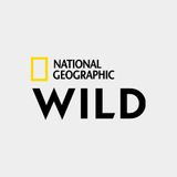 82. National Geographic Wild