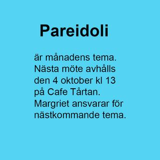 Tema 90 Pareidoli