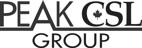 Logo peak group